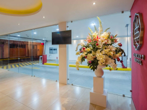 Concept Hotel - Centro Zamora