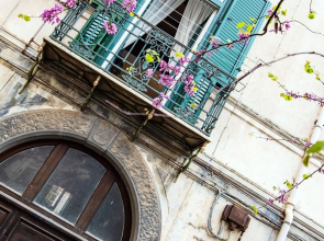 MARE LUNA Guest House