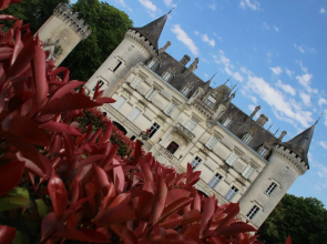 Hotel The Originals Château de Nieuil (ex Relais du Silence)