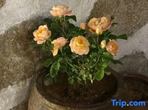 Pingtan Sunrise East Sea Homestay (Tan Nan Bay Tian Mei Ao Beach Store)ach)