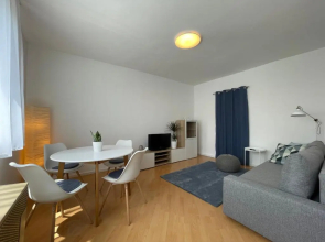 Balaton City Apartment