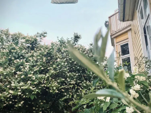 Villa Sol B&B and hostel