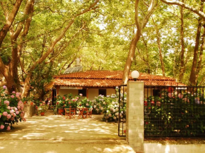 Tasoula Parselia Studios