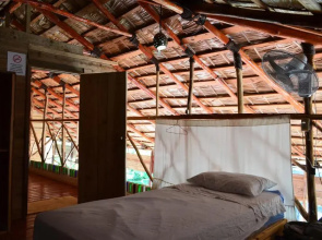 Hostel La Ballena Backpacker
