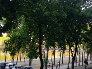 Paris on Water