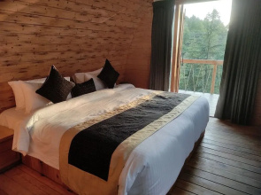 Clarks Exotica Nature Resort Rajgarh (Solan)