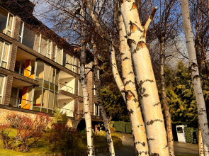 Design Suites Bariloche