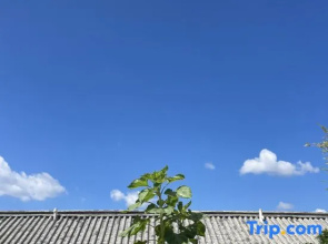 Bandao Yunduan Lake View Inn
