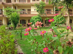 Jungle Wildlife Camp