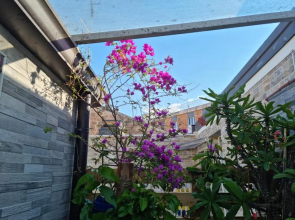 Residenza Lucana (Adults Only)