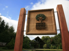 Tree Lodge Nidos de Pucon