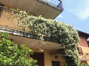 Residenza i Gelsomini