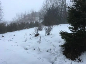 Haus Nova am Bollerberg