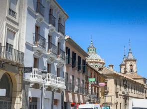 Domus Apartamentos Granada