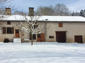 Le Fuligule Morillon