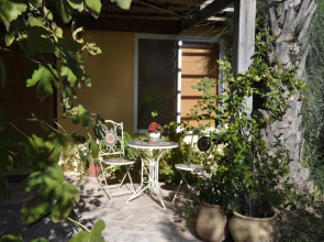 The OLive Tree