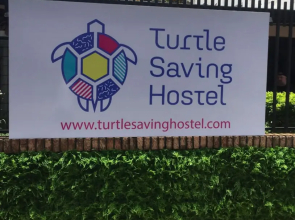 Turtle Saving Hostel