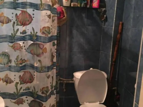 Cozy House near Center