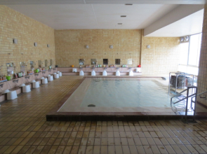 Ooedo Onsen Monogatari Hotel Kinugawa Gyoen