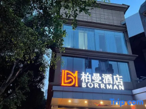 Borrman (Chongqing Bishan Qinggang)