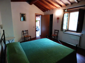 L'ortensia
