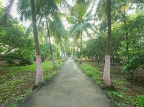 OYO 18638 Coco Mango