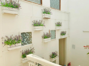 RedDoorz Amis Hotel near Da Lat Market