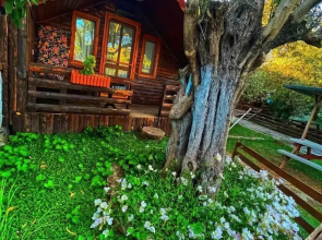 ZeytinDagi Bungalow Butik Otel