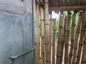The Backyard Hostel