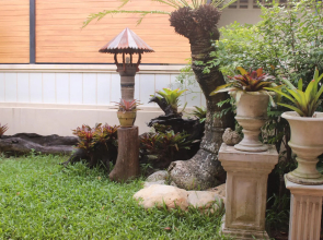 Tree Home Plus Home Stay