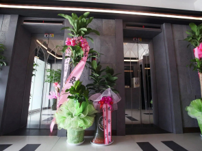 Hotel Luxe