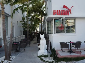 Posh South Beach Hostel