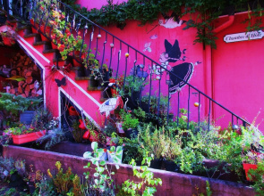 Tilly's B&B