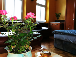 Lehel Apartman