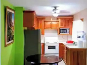 Paradise Apartment and Single Room