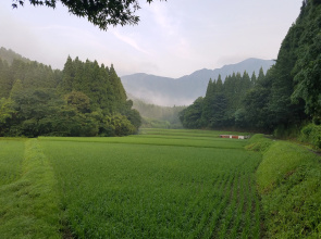 Yamadera Kosen Second House Ikoi