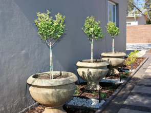 Green Kalahari Guesthouse