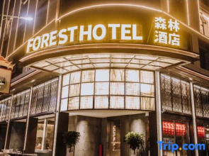 Forest Hotel