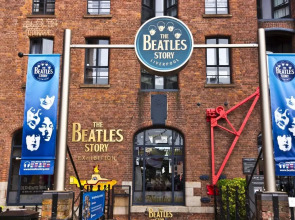 Ringo s Studio Liver House