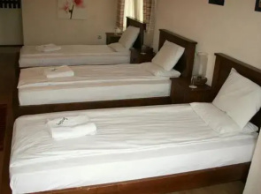 Hotel Avalon