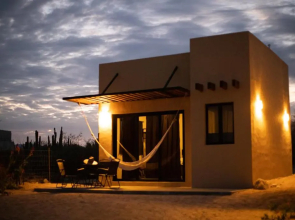 Desert Wind