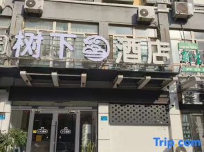 Hebi Shuxia Hotel (Hebi East Station Wanda Plaza)