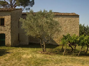Tenuta La Rocca Di Sillano