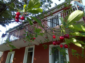 Apartman Vesna