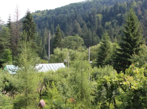 Pensiunea Frasin