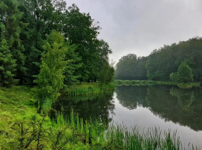 Stacja Nowa Gdynia