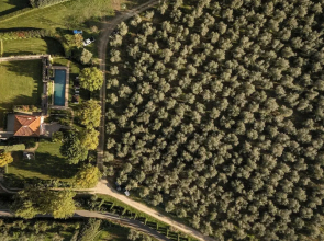 Villa Le Cipresse