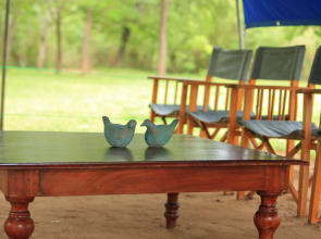 Big Game - Wilpattu by Eco Team