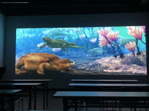 Triassic Museum Hotel