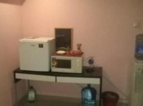 Меблированные комнаты Снегири